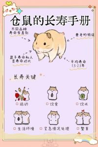 宠物鼠寿命排行_养仓鼠看品种环境，健康长寿靠细心