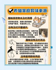 猫身上的香味怎么来的_猎手本能+爱清洁+健康象征