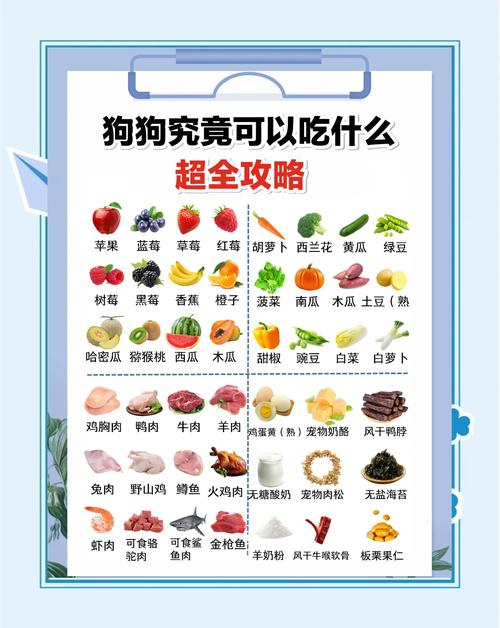 狗狗可以吃什么水果_狗狗可吃部分水果，牛油果葡萄绝对禁喂！