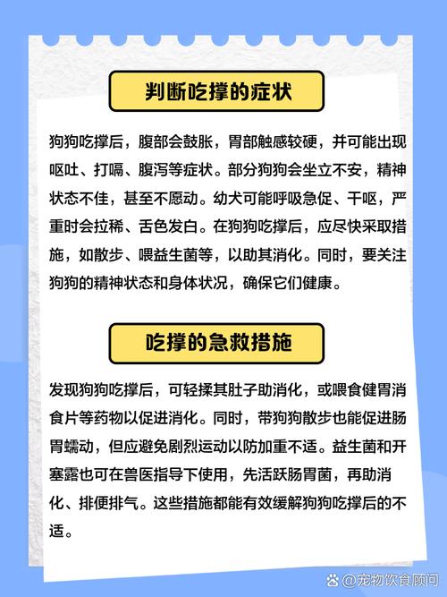 小狗吃撑了一般几个小时会死_警惕小狗吃撑危险,科学喂养保健康! 小狗吃撑了一般几个小时会死_警惕小狗吃撑危险,科学喂养保健康!