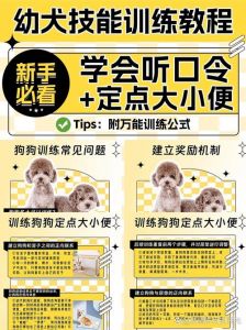 狗狗大小便的训练口令_口令引导，零食奖励