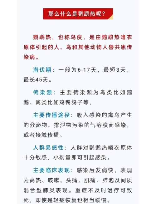 人得了鹦鹉热会死吗_警惕!鹦鹉热由鸟类粉尘传染,高烧不退! 人得了鹦鹉热会死吗_警惕!鹦鹉热由鸟类粉尘传染,高烧不退!