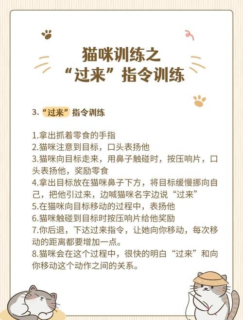 猫要怎么样训练_科学训练养猫,耐心沟通增信任 猫要怎么样训练_科学训练养猫,耐心沟通增信任