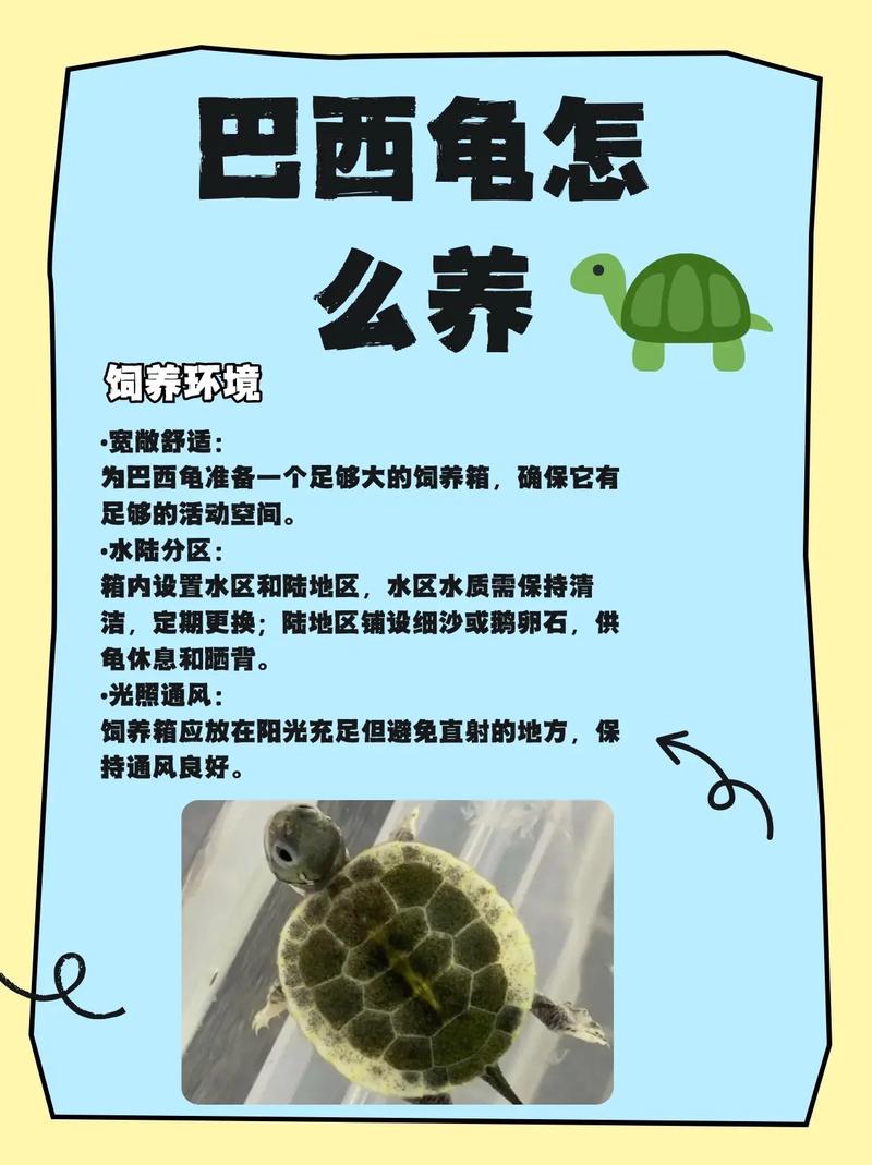 巴西龟一般能活多久_巴西龟寿命长,养好水温和食物最重要! 巴西龟一般能活多久_巴西龟寿命长,养好水温和食物最重要!