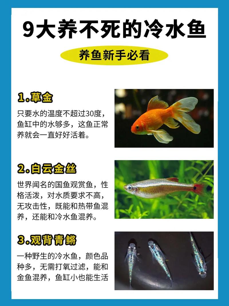 十大养不死冷水鱼图片_冷水鱼好养又有趣,多种易养鱼推荐! 十大养不死冷水鱼图片_冷水鱼好养又有趣,多种易养鱼推荐!