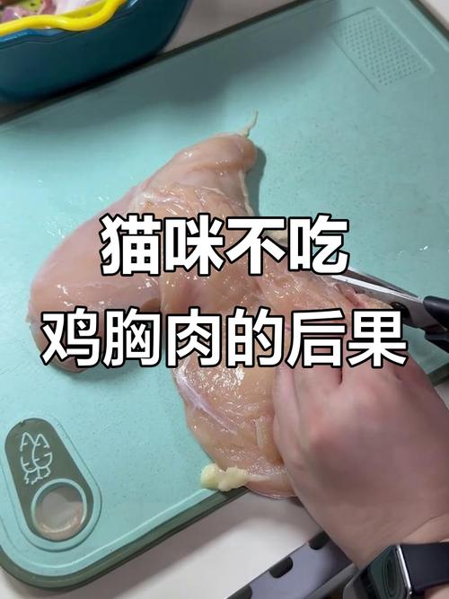 猫咪能吃生鸡胸肉吗_警惕！生鸡肉危害大，猫咪吃煮熟鸡胸肉要适量