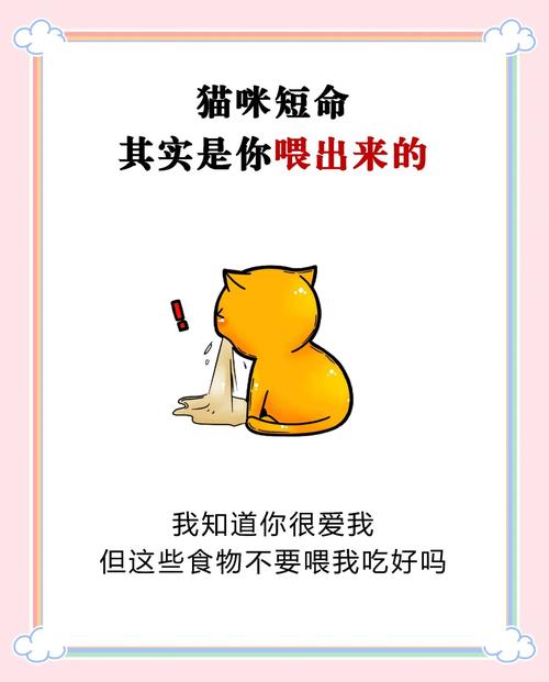 猫咪能尝出哪些基本味道_偏爱肉,少尝甜辣 猫咪能尝出哪些基本味道_偏爱肉,少尝甜辣