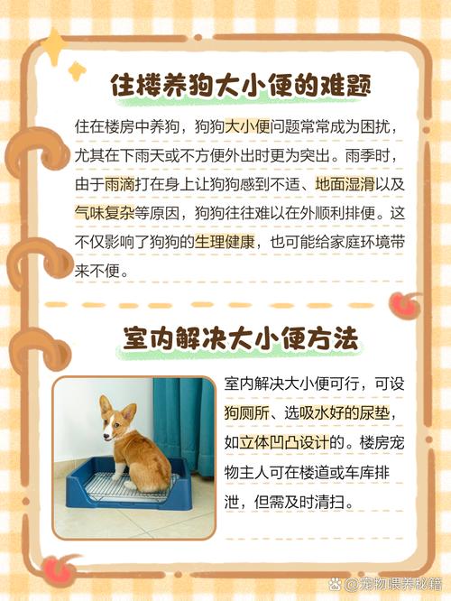 幼犬随地大小便能打吗_幼犬便便乱拉?别打骂,用对方法好养成! 幼犬随地大小便能打吗_幼犬便便乱拉?别打骂,用对方法好养成!