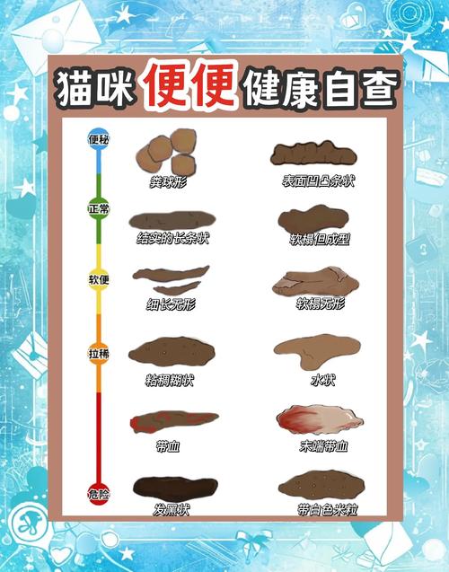 猫咪一天拉一次正常吗_猫咪排便一次正常?观察状态比频率重要! 猫咪一天拉一次正常吗_猫咪排便一次正常?观察状态比频率重要!