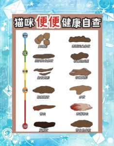 猫咪一天拉一次正常吗_猫咪排便一次正常？观察状态比频率重要！