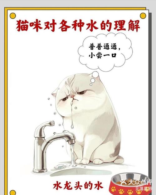 对着猫咪喷香水会怎么样_别给猫咪喷香水,易致过敏中毒! 对着猫咪喷香水会怎么样_别给猫咪喷香水,易致过敏中毒!