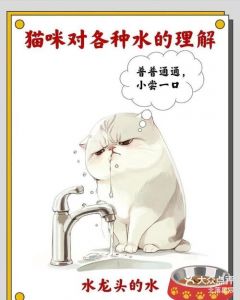 对着猫咪喷香水会怎么样_别给猫咪喷香水，易致过敏中毒！