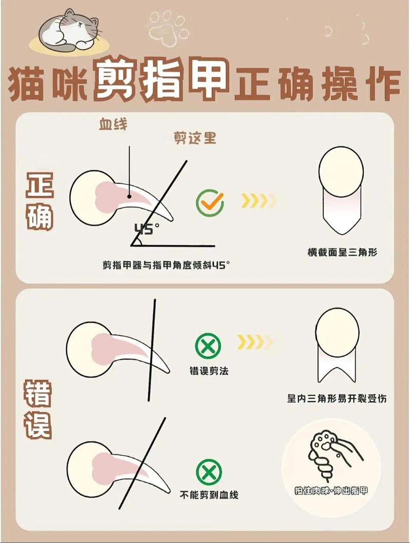 猫指甲剪出血会自己恢复吗_猫咪剪指甲出血怎么办? 猫指甲剪出血会自己恢复吗_猫咪剪指甲出血怎么办?