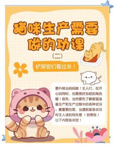 猫咪生崽了怎么处理小猫_安全环境，细心观察，健康成长