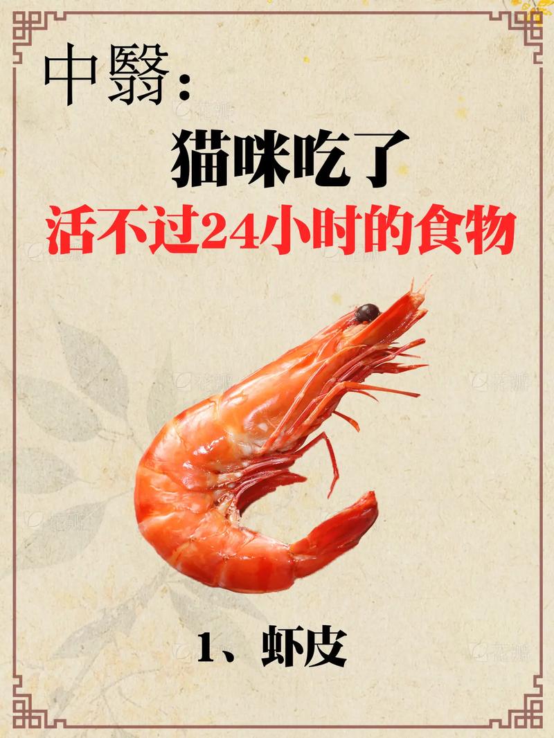 猫咪能吃虾吗怎么吃_猫咪可食虾肉,煮熟去壳控量喂 猫咪能吃虾吗怎么吃_猫咪可食虾肉,煮熟去壳控量喂