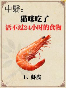 猫咪能吃虾吗怎么吃_猫咪可食虾肉，煮熟去壳控量喂