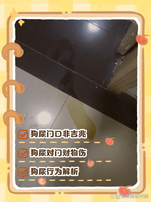 狗乱拉乱尿 越打越害怕不改_狗狗乱尿怎么办?排查健康,耐心训练 狗乱拉乱尿 越打越害怕不改_狗狗乱尿怎么办?排查健康,耐心训练