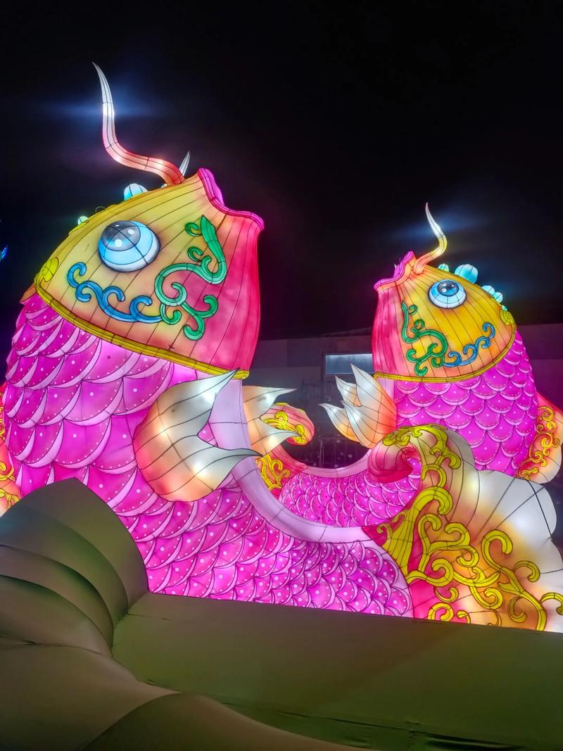 观赏鱼发色点什么灯_观赏鱼灯选对色,亮光养出好颜色 观赏鱼发色点什么灯_观赏鱼灯选对色,亮光养出好颜色