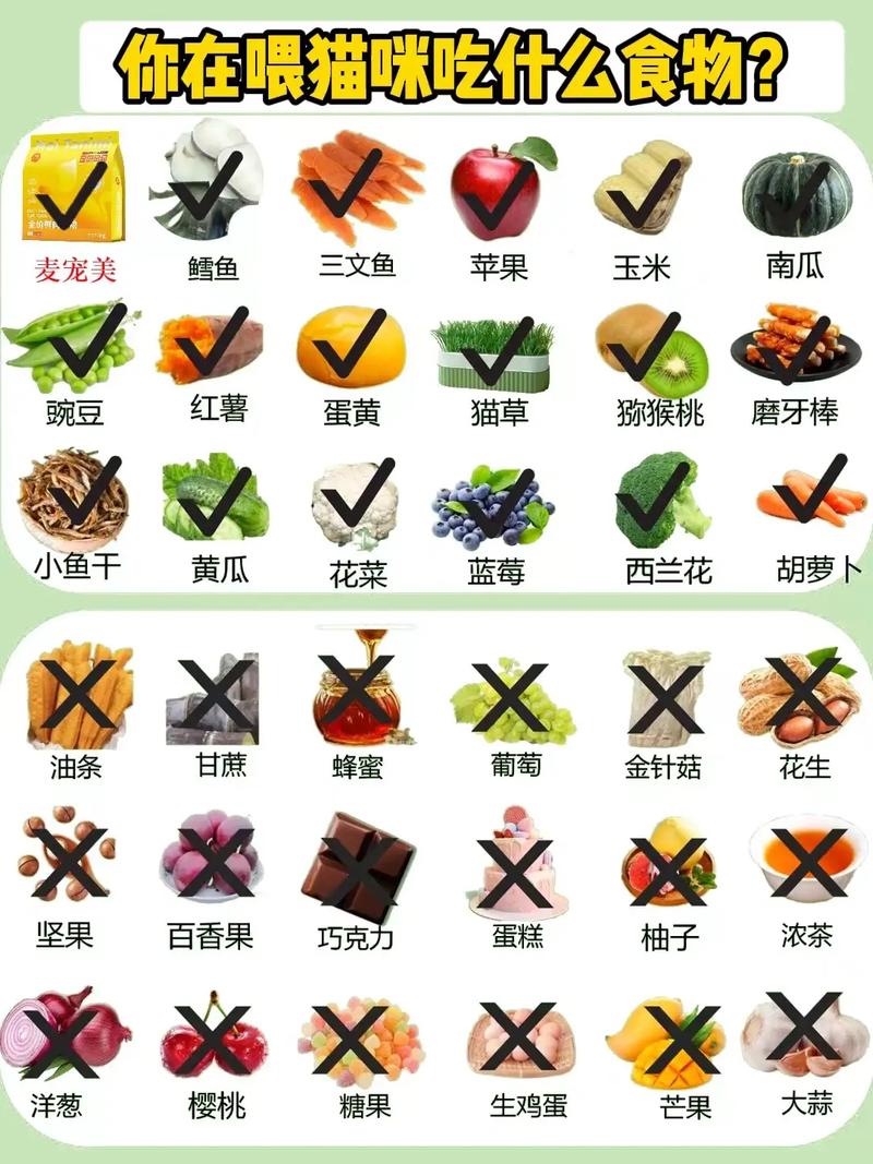 猫咪可以吃的食物大全_均衡营养主食辅食,多喝水 猫咪可以吃的食物大全_均衡营养主食辅食,多喝水