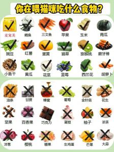 猫咪可以吃的食物大全_均衡营养主食辅食，多喝水