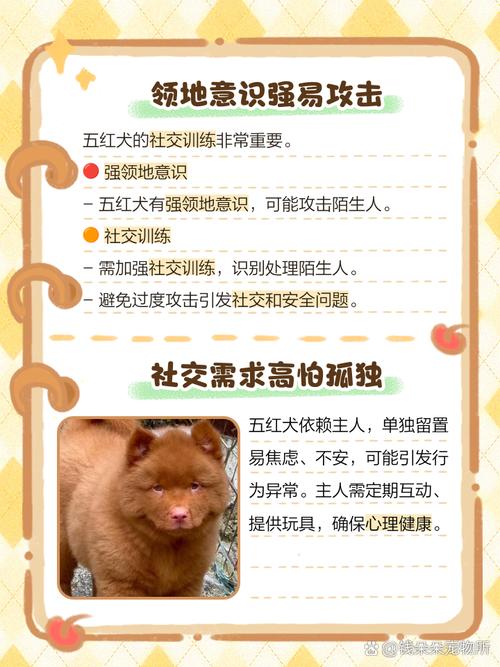 家里养狗的十大坏处_养狗虽好，但问题多花钱费力