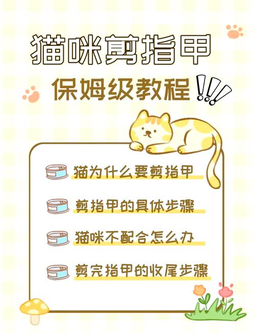 猫剪指甲影响抓老鼠吗_每周给猫剪指甲,防伤人伤己,猫咪健康快乐 猫剪指甲影响抓老鼠吗_每周给猫剪指甲,防伤人伤己,猫咪健康快乐