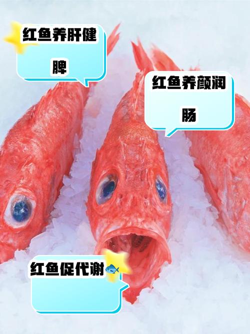 红魔鬼鱼和招财鱼可以混养吗_红魔鬼与招财鱼不宜混养,混养需谨慎选择伙伴 红魔鬼鱼和招财鱼可以混养吗_红魔鬼与招财鱼不宜混养,混养需谨慎选择伙伴