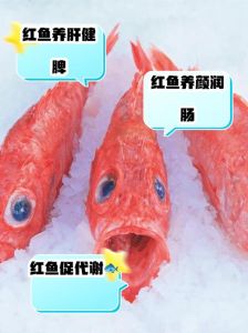 红魔鬼鱼和招财鱼可以混养吗_红魔鬼与招财鱼不宜混养，混养需谨慎选择伙伴