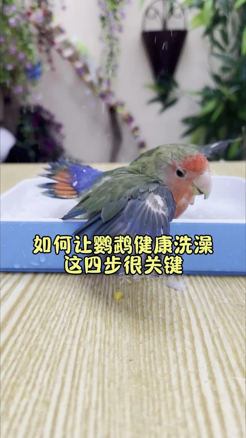 判断鹦鹉热最简单的方法_警惕!孩子出现鹦鹉热要及时就医 判断鹦鹉热最简单的方法_警惕!孩子出现鹦鹉热要及时就医