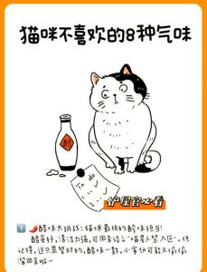 猫最怕气味排名第一_猫怕柑橘噪音强光，喷水驱赶，零食玩具安抚