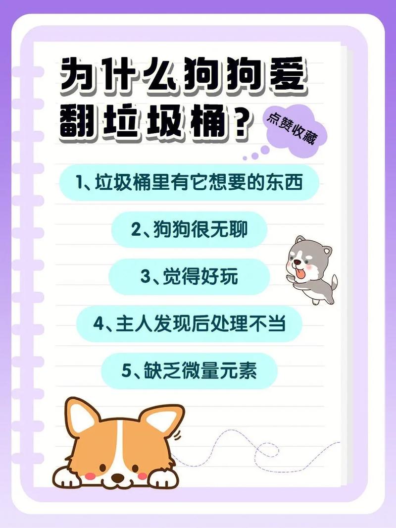 狗翻垃圾桶怎么教育_狗狗翻垃圾桶怎么办？试试这几招！