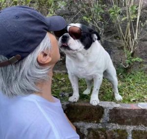 周星驰养的是什么狗_星爷晒爱犬合影忆国产凌凌漆