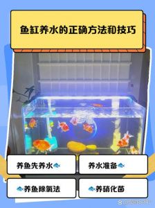 古法养鱼不换水怎么保持清澈_生态循环，水质自净