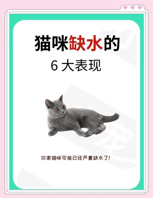 猫喂生水还是白开水_煮沸白开水更安全,流动饮水更爱喝 猫喂生水还是白开水_煮沸白开水更安全,流动饮水更爱喝