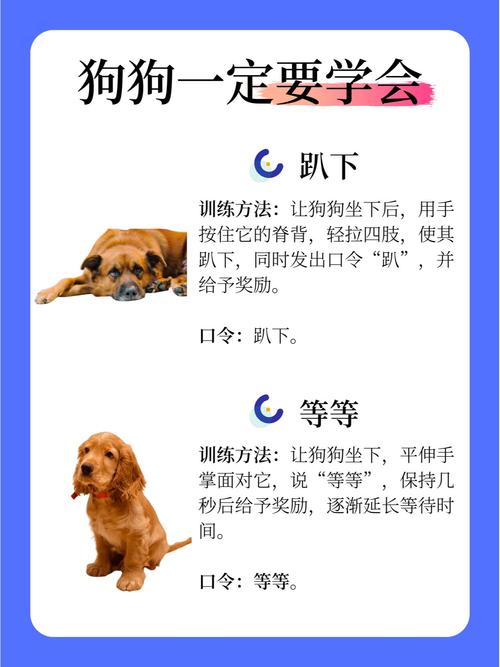 狗狗训练口令大全_狗狗口令手势要一致,15个指令管好日常安全! 狗狗训练口令大全_狗狗口令手势要一致,15个指令管好日常安全!