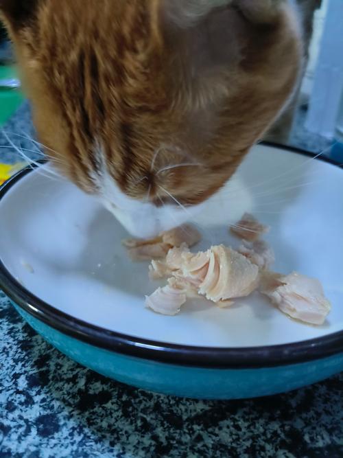 给猫咪吃鸡胸肉优缺点_肥胖猫鸡胸肉喂养指南,科学搭配更健康! 给猫咪吃鸡胸肉优缺点_肥胖猫鸡胸肉喂养指南,科学搭配更健康!