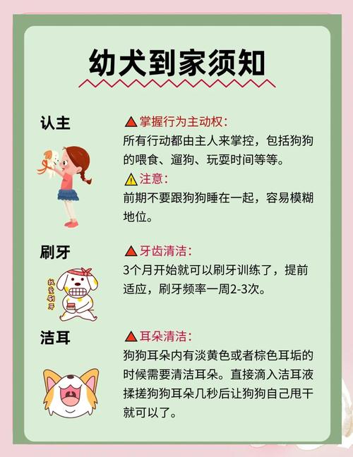 狗狗到新家一般叫几天_新狗狗叫怎么办?3-7天适应期缓解妙招 狗狗到新家一般叫几天_新狗狗叫怎么办?3-7天适应期缓解妙招