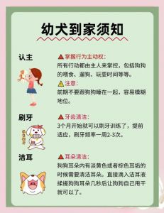 狗狗到新家一般叫几天_新狗狗叫怎么办？3-7天适应期缓解妙招