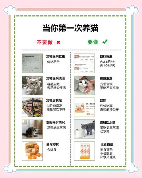 猫生小猫后注意事项_母猫生产后怎么照顾好母猫和小猫 猫生小猫后注意事项_母猫生产后怎么照顾好母猫和小猫