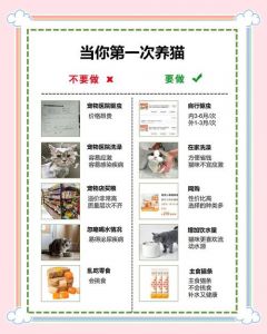猫生小猫后注意事项_母猫生产后怎么照顾好母猫和小猫
