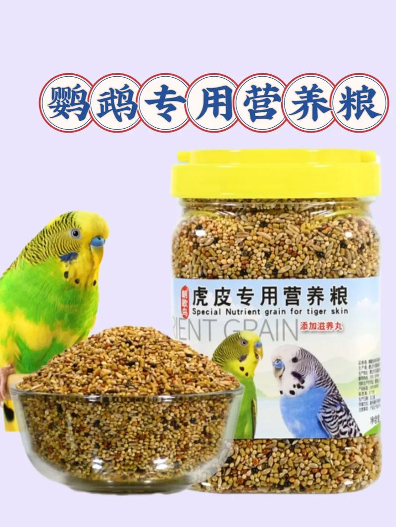 鹦鹉吃生米还是熟米_小鹦鹉吃熟米，别喂生米