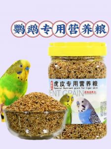 鹦鹉吃生米还是熟米_小鹦鹉吃熟米，别喂生米