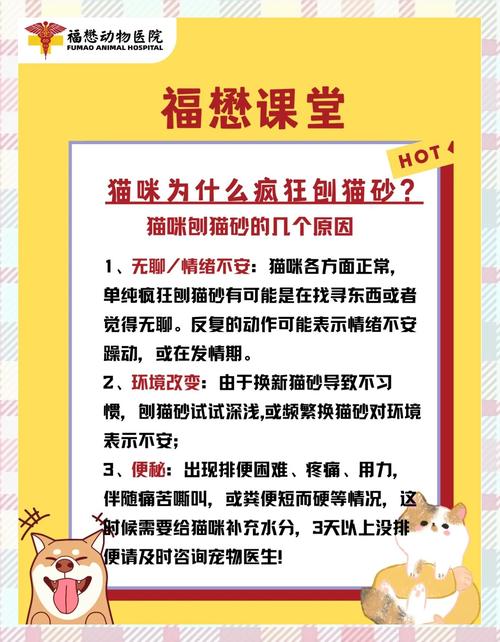 猫为什么总是刨猫砂_猫咪扒猫砂盆？快查查是啥原因！