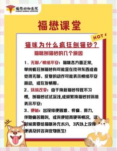 猫为什么总是刨猫砂_猫咪扒猫砂盆？快查查是啥原因！