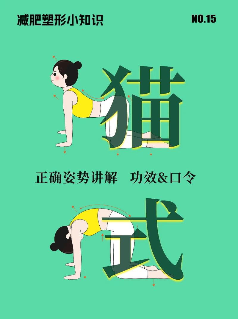 腰椎猫犬式训练_缓解腰痛，提升体态