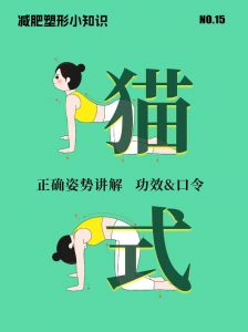 腰椎猫犬式训练_缓解腰痛，提升体态