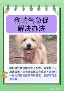 狗狗晚上像很热一样喘气_狗狗夜间喘气怎么回事？