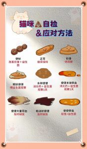 猫咪一天没拉粑粑正常吗_猫咪两日未排便？观察精神食欲，异常速就医！