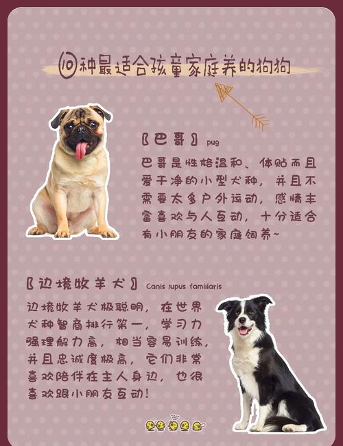 公认十大最好养的狗_忠诚温顺智商高，适合你最重要
