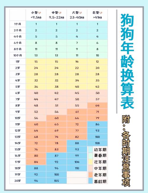 金毛看年龄图解_金毛犬年龄判断小窍门 金毛看年龄图解_金毛犬年龄判断小窍门